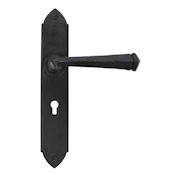 #10 - Gothic Lever Door Handle on Lock Backplate