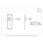 #13 - Marot Lever Door Handle on Euro Lock Backplate