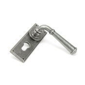 #15 - Chateau Lever Door Handle on Euro Lock Backplate