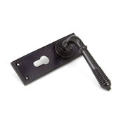 #13 - Marot Lever Door Handle on Euro Lock Backplate