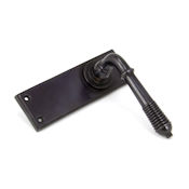 #05 - Marot Lever Door Handle on Latch Backplate