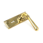 #10 - Orleans Lever Door Handle on Lock Backplate