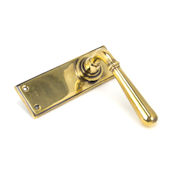 #06 - Orleans Lever Door Handle on Latch Backplate