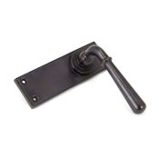 #06 - Orleans Lever Door Handle on Latch Backplate