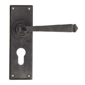 #14 - Avon Lever Door Handle on Euro Lock Backplate