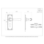 #14 - Orleans Lever Door Handle on Euro Lock Backplate