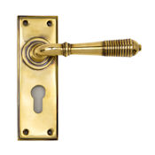 #13 - Marot Lever Door Handle on Euro Lock Backplate