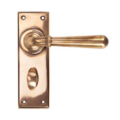 #18 - Orleans Lever Door Handle on Bathroom Privacy Lock Backplate