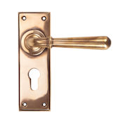 #14 - Orleans Lever Door Handle on Euro Lock Backplate