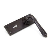 #09 - Marot Lever Door Handle on Lock Backplate