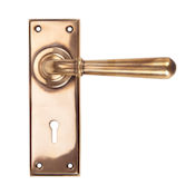 #10 - Orleans Lever Door Handle on Lock Backplate