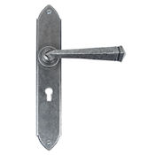 #10 - Gothic Lever Door Handle on Lock Backplate