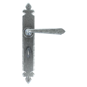 #22 - Cromwell Lever Door Handle on Bathroom Privacy Lock Lock Backplate