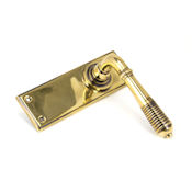 #05 - Marot Lever Door Handle on Latch Backplate