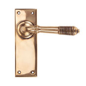 #05 - Marot Lever Door Handle on Latch Backplate