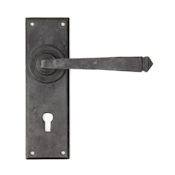 #08 - Avon Lever Door Handle on Lock Backplate