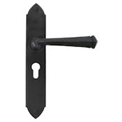 #16 - Gothic Lever Door Handle on Euro Lock Backplate