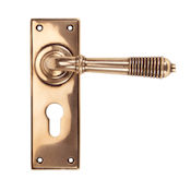 #13 - Marot Lever Door Handle on Euro Lock Backplate