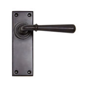 #06 - Orleans Lever Door Handle on Latch Backplate