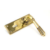 #09 - Marot Lever Door Handle on Lock Backplate