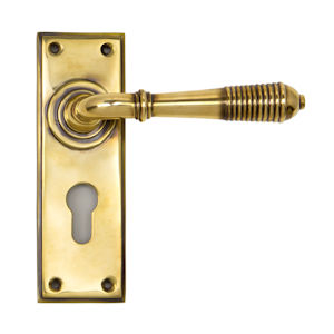 #13 - Marot Lever Door Handle on Euro Lock Backplate